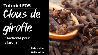 F05  Insecticide à base de clous de girofle