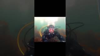 Back to cool diving for summer 2024 #chill #oceanadventures