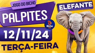 PALPITE DO DIA 12/11/2024 - JOGO DO BICHO 🍀 TODAS AS LOTERIAS 🍀