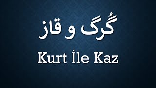 Kurt İle Kaz   /   گرگ و قاز