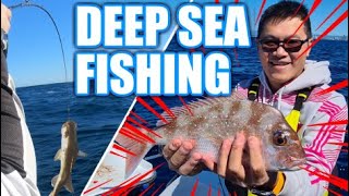 🇦🇺🎣🐟🤮🚤  DEEP SEA FISHING - THROW UP | SNAPPER | PERCH | TUSK | PIGFISH | TREVELLAY | COD ETC.