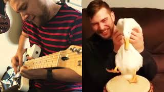 DUCK PLAYING THE DRUMS + GUITAR  ( ͡° ͜ʖ ͡°)