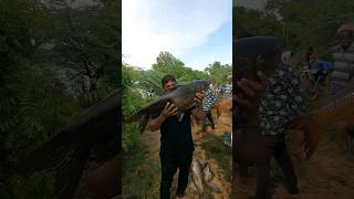 #fishing big rohu carp..!!😱😱💥💥