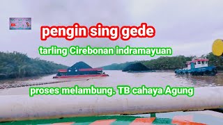 TARLING CIREBONAN INDRAMAYU SINGLE // PENGEN SING GEDEE