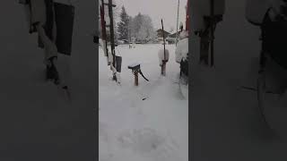 Oberstdorf, Schneechaos, Kupplungen IC