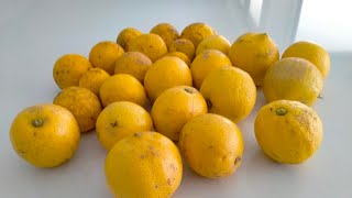 നാരങ്ങാ കേടാകാതെ സൂക്ഷിക്കാം/How to preserve lemon/3 ways to store them.