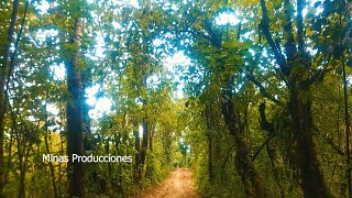 Hermoso Nacimiento de Agua y Paisaje SANTA MARIA YUCUHITI