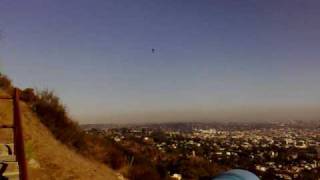 Birds Flying Over Hollywood Bowl in Hollywood, Los Angeles, California