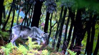 Parco nazionale della Majella_Natura