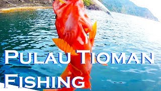 Pulau Tioman Fishing 2 - Jigging Casting Mersing - Shimano Calcutta Ocea 201 Gomoku Adajo