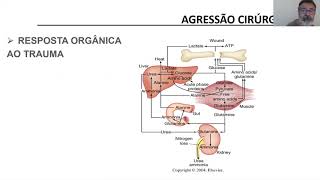 Agressão Cirurgica