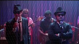 The Blues Brothers - Rawhide