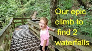 Our epic climb to find 2 waterfalls at Cloudland Canyon