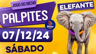 PALPITE DO DIA 07/12/2024 - JOGO DO BICHO 🍀 TODAS AS LOTERIAS 🍀