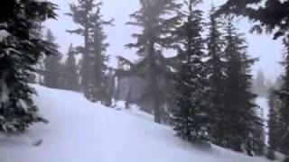 Skiing through the forest in Mammoth mountain, California (2011) | Alexander R. Marmureanu MD