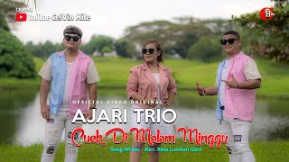 AJARI TRIO || CUEK DI MALAM MINGGU || (Official Music Video) Lagu Batak Terbaru 2024