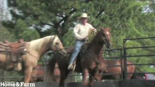 Tennessee Cowboy Jack Lawrence Trains Problem Horses