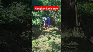 NANGILAW KAHIT ARAW