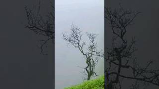 Harihar Fort Trek View in Monsoon 💙 🚶‍♂️            #shorts #shortsfeed #shortsviral #trendingshorts