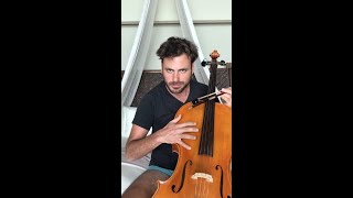 Cello Shreds - "Underpants on Bed"