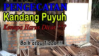 Pengecatan Kandang Puyuh Petelur