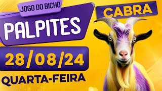 PALPITE DO DIA 28/08/2024 - JOGO DO BICHO 🍀 TODAS AS LOTERIAS 🍀