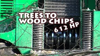 Transforming trees to wood chips with 612 HP in the Vosges