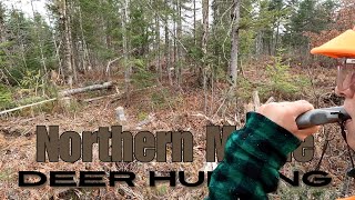 Finally Back In The Woods | Deer Hunting Northern Maine