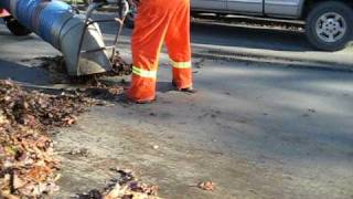 Vacuuming Leaves in Victoria BC