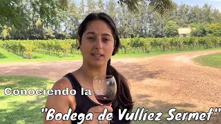 Española VISITA / Bodega Vulliez Sermet en #Colón, #entrerios  | Tripin Argentina