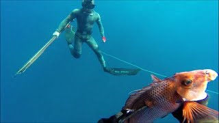 Spearfishing South Coast KZN