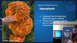 LIVE Introduction to Mushroom Cultivation Workshop