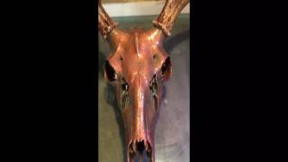 Patina deer skull full length