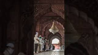 Jama Masjid dehli india #shots Mohammadrehanqasmi