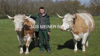 AUS MEINER SICHT: Liam | Museumsdorf Düppel (UT dt./ engl.)