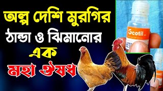 অল্প দেশি মুরগির ঠান্ডা ও ঝিমানো রোগের মহা ঔষধ || ছোট একটি এন্টিবায়োটিক ঔষধ দিয়ে সব মুরগি সুস্থ করুন