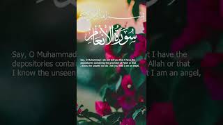 Surah Al-An'am Mishary bin Rashid AAlaafasy I Ayah 50