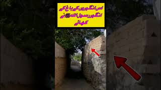 اس انگوروں کے باغ # islamicvideo #duet #duetz #unfrezzmyaccount #myduetify #funnyvideo #urdupoetry