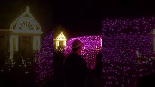 Bellingrath Gardens  #Christmas #Lights #Rose #Garden #shorts