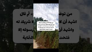 أجور عظيمة بأعمال يسيرة