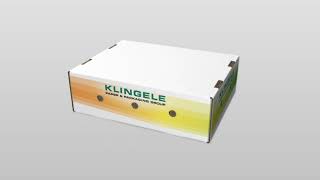 Best 6Kg Mango Telescopic Box for Plane