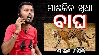 ମାଈକିନା ଖିଆ ବାଘ 🐅 #khantikoraputia #koraput #koraputiacomedy #funny #viral #shorts  #odia #comedy