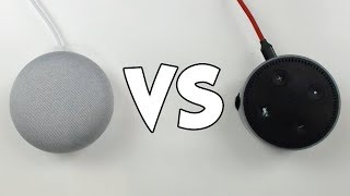 Amazon Echo vs Google Home - Asking Random Questions