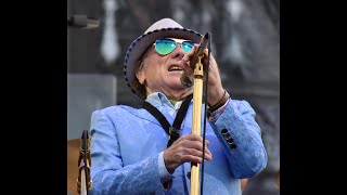 Van Morrison - Celtic Excavation - Into The Mystic