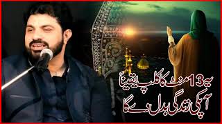 Allama  Asif Raza alvi  ke Majils video full dekhna or like karo subscribe karo thanks