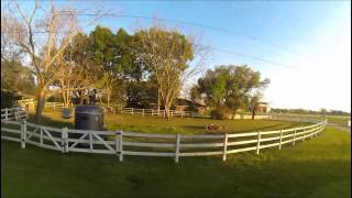 Drone vs Horse