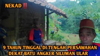 NEKAD‼️9TAHUN TINGGAL DI HUTAN DEKAT BATU ANGKER  SILUMAN ULAR DAN IPRI