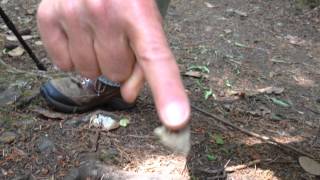 Slug Power on a BC hike