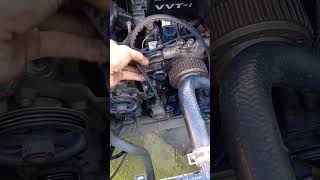 Timing Belt Xenia Putus #shorts