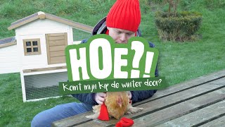 Hoe komt mijn kip de winter door? | HOE?! | Welkoop